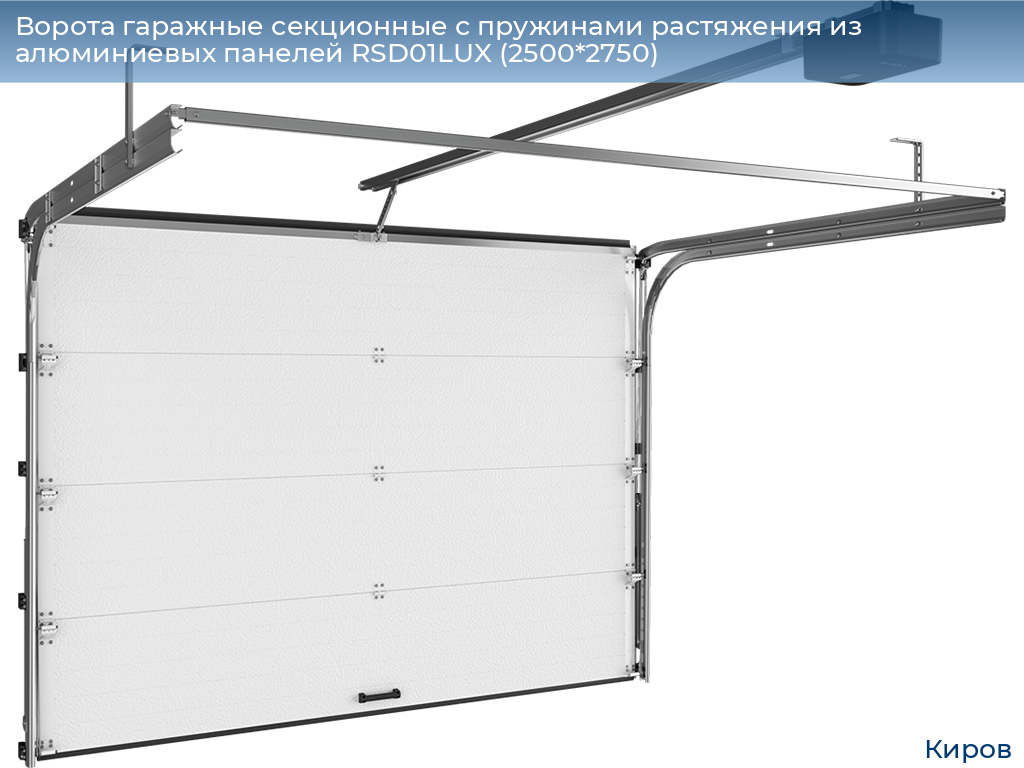 Ворота гаражные секционные с пружинами растяжения из алюминиевых панелей RSD01LUX (2500*2750), kirov.doorhan.ru