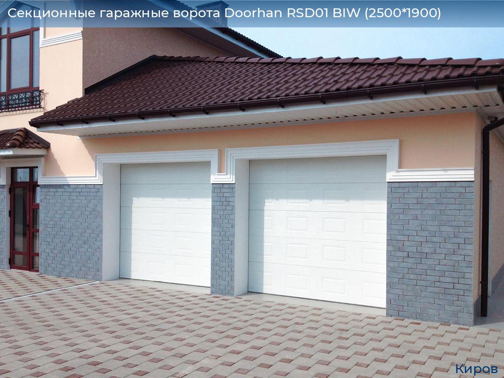 Секционные гаражные ворота Doorhan RSD01 BIW (2500*1900), kirov.doorhan.ru