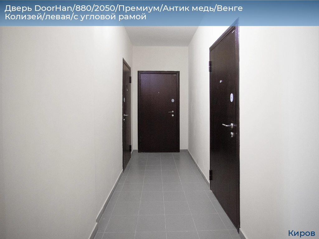 Дверь DoorHan/880/2050/Премиум/Антик медь/Венге Колизей/левая/с угловой рамой, kirov.doorhan.ru