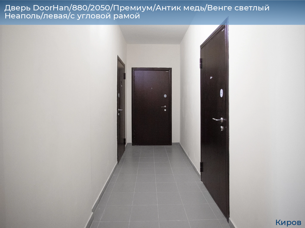 Дверь DoorHan/880/2050/Премиум/Антик медь/Венге светлый Неаполь/левая/с угловой рамой, kirov.doorhan.ru