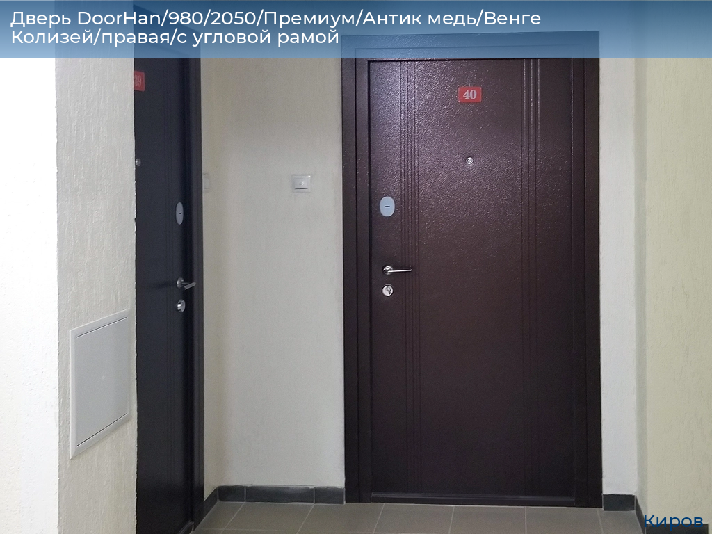 Дверь DoorHan/980/2050/Премиум/Антик медь/Венге Колизей/правая/с угловой рамой, kirov.doorhan.ru